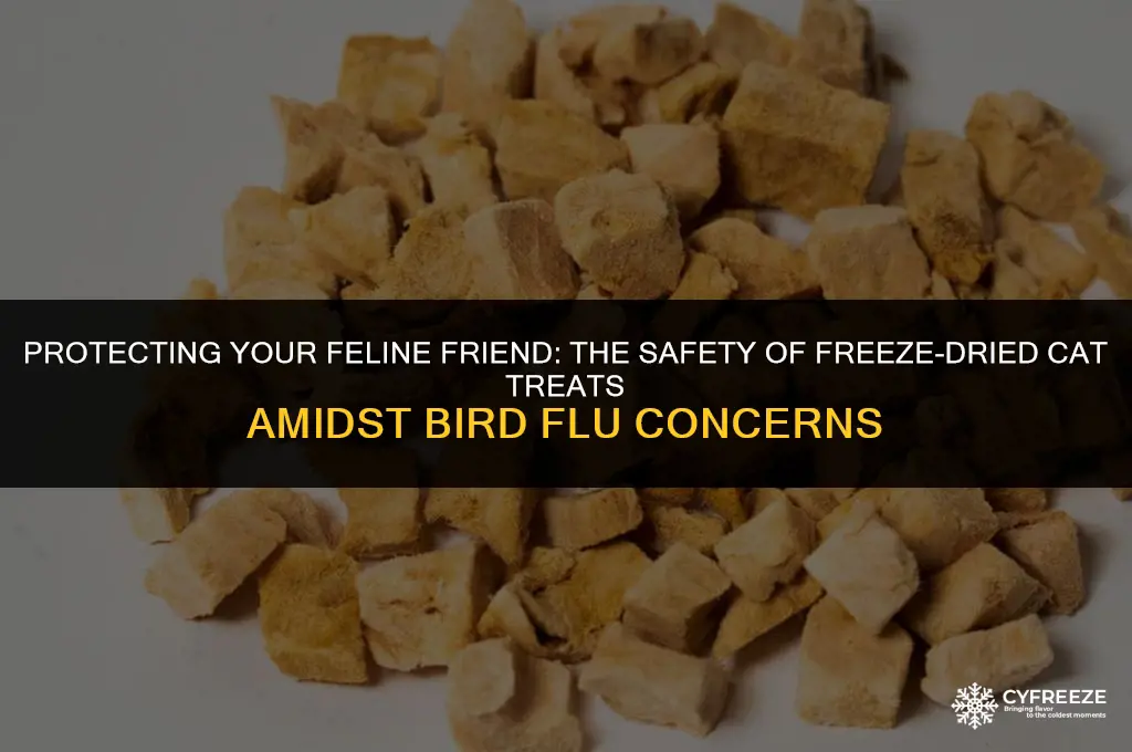 are freeze dried cat treats safe from bird flu