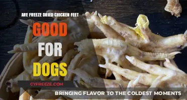 Crunchy Delights: The Truth About Freeze-Dried Chicken Feet for Dogs