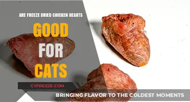 Exploring the Benefits of Freeze-Dried Chicken Hearts for Feline Health