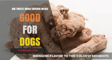 Crunchy and Nutritious: Freeze-Dried Chicken Necks for Dogs?