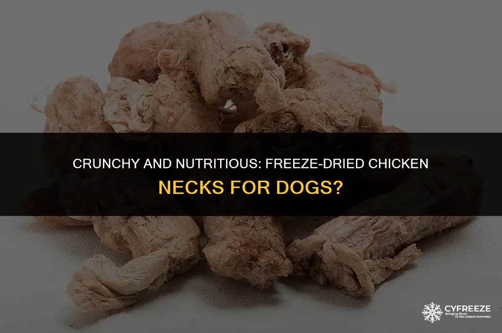 are freeze dried chicken necks good for dogs