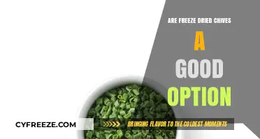 Exploring the Benefits and Uses of Freeze-Dried Chives in Cooking