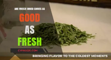 Exploring the Flavor: Freeze-Dried Chives vs. Fresh Chives