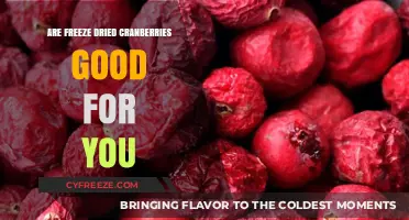 Exploring the Health Benefits of Freeze-Dried Cranberries: A Nutritional Guide