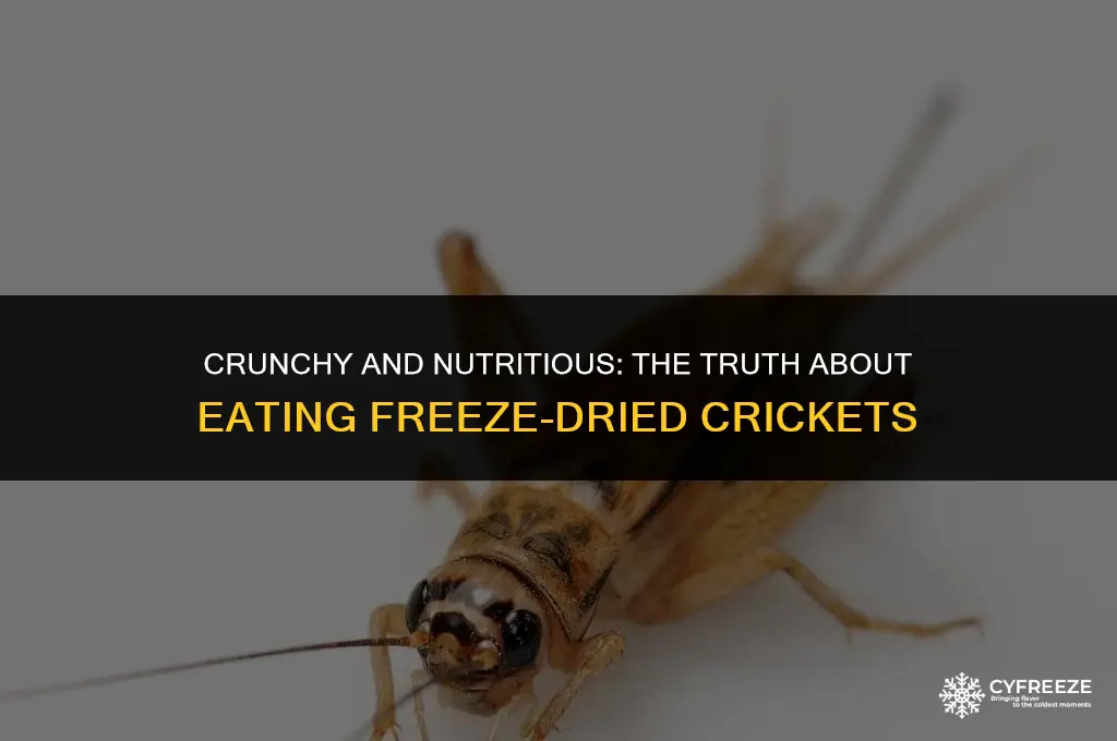 are freeze dried crickets edible