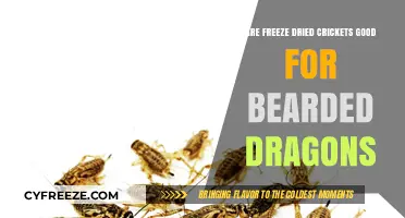 Crunchy Delights: Freeze-Dried Crickets for Bearded Dragons?