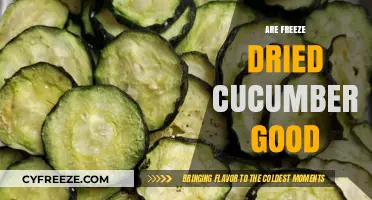 Exploring the Crunch: Are Freeze-Dried Cucumbers a Healthy Snack?