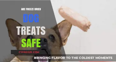 Exploring the Safety of Freeze-Dried Dog Treats: A Comprehensive Guide