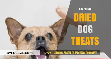 Exploring the Benefits and Drawbacks of Freeze-Dried Dog Treats