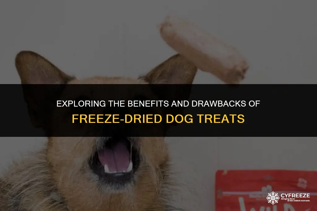 are freeze dried dog treats