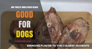 Can Freeze-Dried Duck Heads Be a Healthy Treat for Dogs?