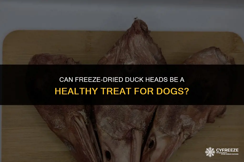 are freeze dried duck heads good for dogs