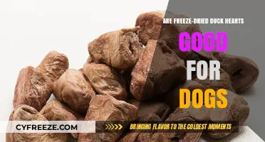 Nutritional Benefits of Freeze-Dried Duck Hearts for Canine Companions