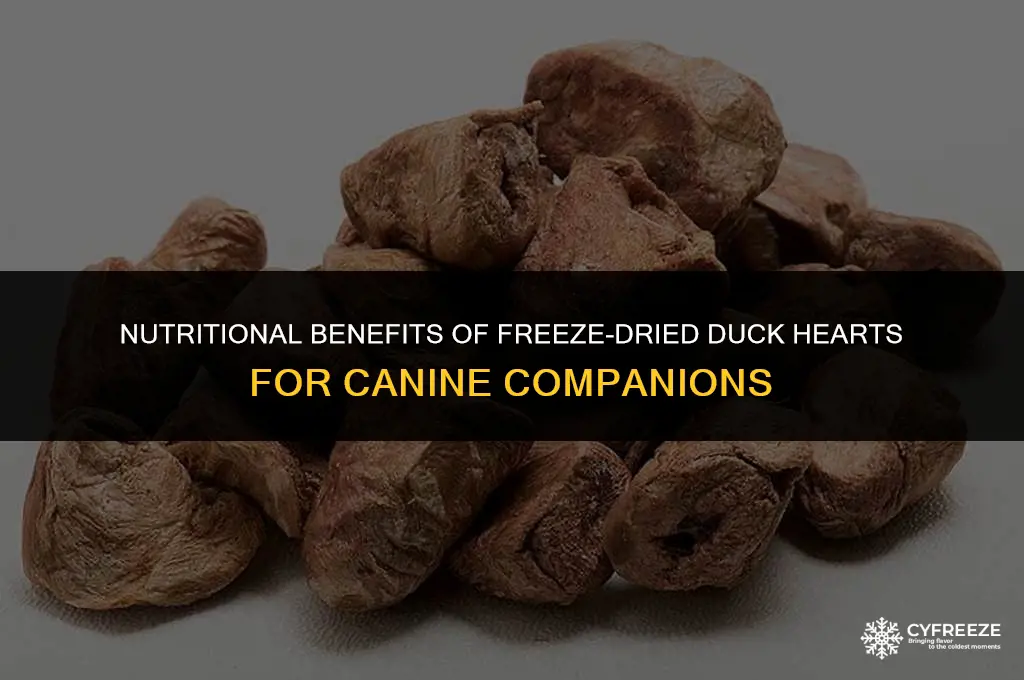 are freeze-dried duck hearts good for dogs