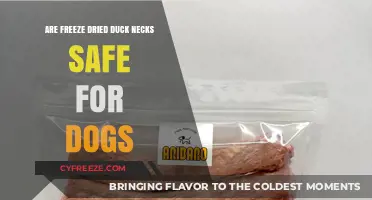 Can Dogs Safely Enjoy Freeze-Dried Duck Necks? A Complete Guide