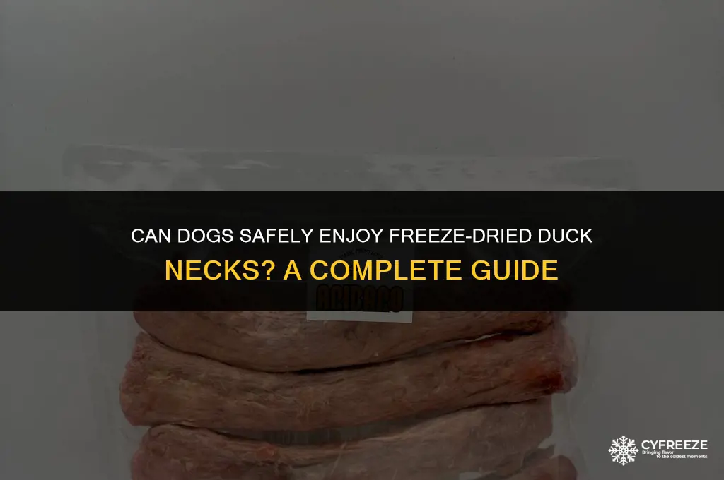 are freeze dried duck necks safe for dogs