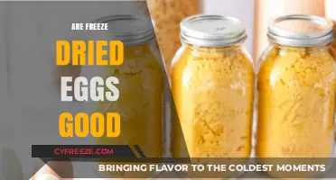 The Surprising Benefits and Uses of Freeze-Dried Eggs