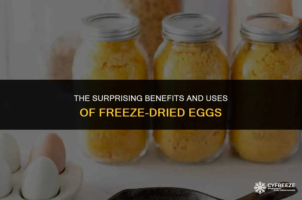 are freeze dried eggs good