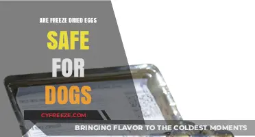 Exploring the Safety of Freeze-Dried Eggs for Canine Companions