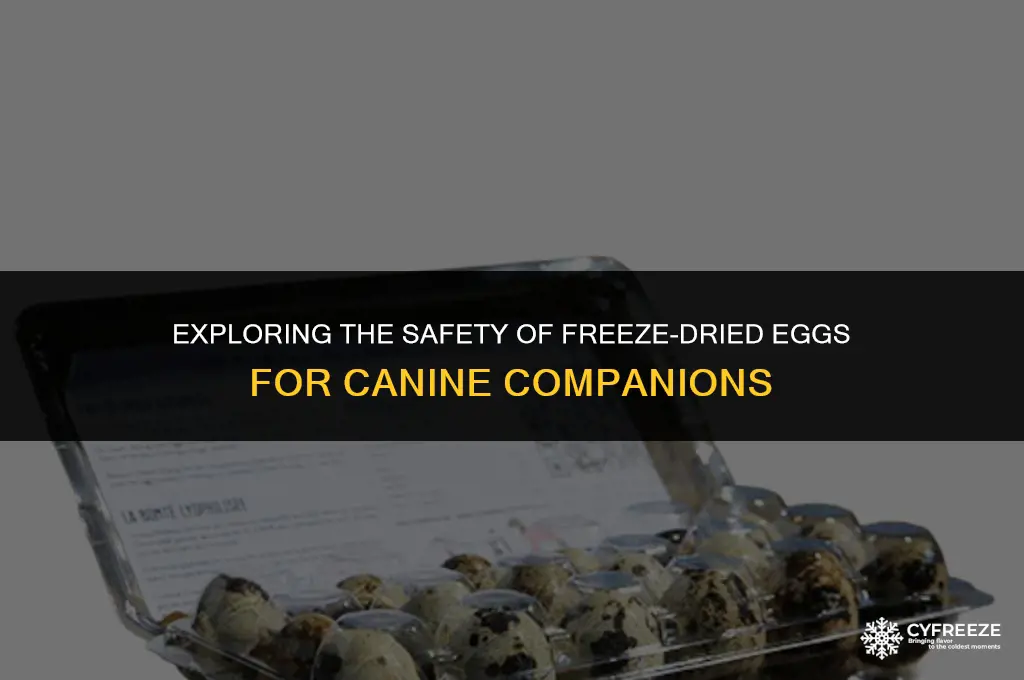 are freeze dried eggs safe for dogs