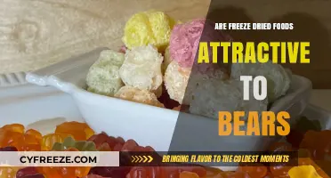 Do Freeze-Dried Foods Attract Bears? A Camper's Guide to Safe Storage