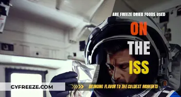Savoring Space: The Surprising Role of Freeze-Dried Foods on the ISS