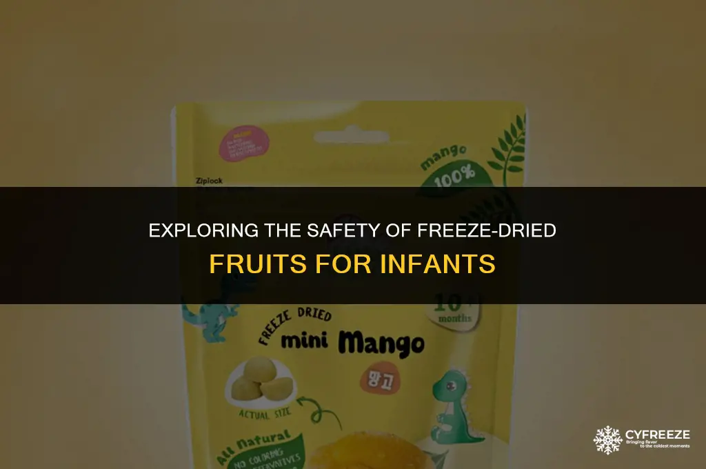 are freeze dried fruit safe for babies