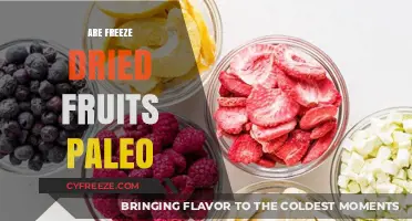 Exploring Paleo Diets: The Verdict on Freeze-Dried Fruits