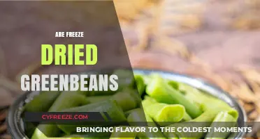 Exploring the Nutritional Benefits and Uses of Freeze-Dried Green Beans