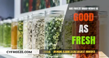 Exploring the Flavor and Nutrition of Freeze-Dried Herbs vs. Fresh