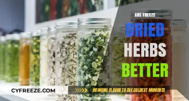 Exploring the Benefits: Are Freeze-Dried Herbs Superior?