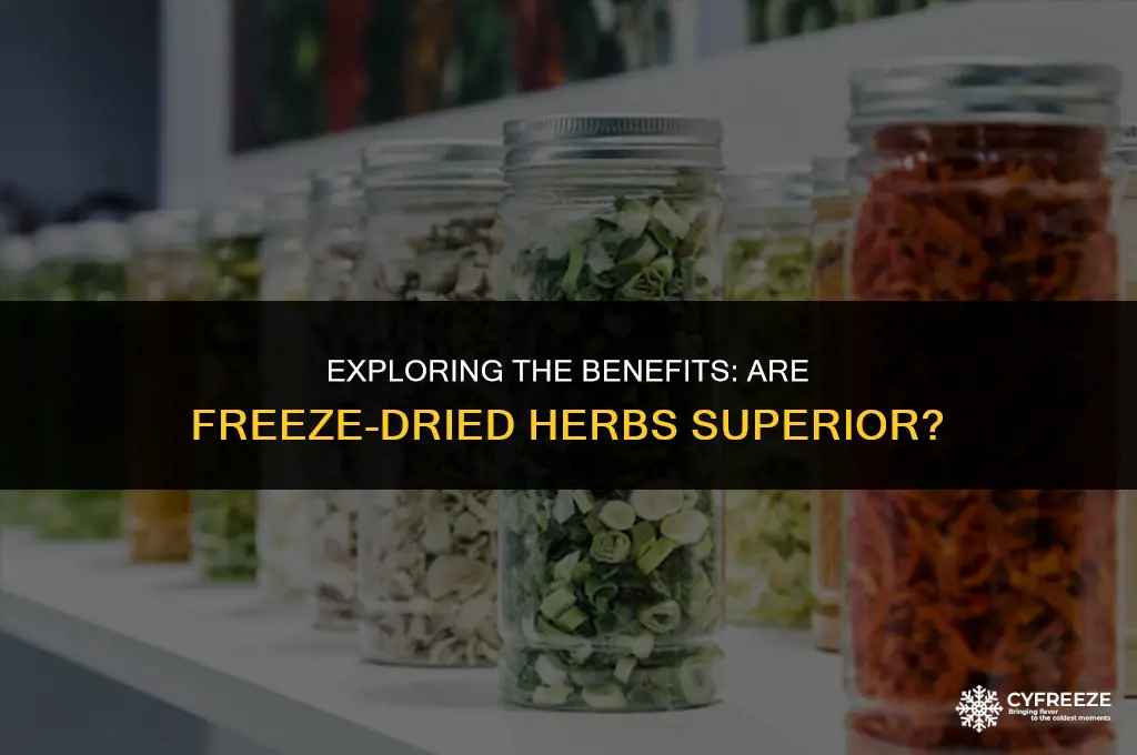 are freeze dried herbs better