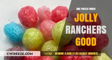 Exploring the Unique Taste of Freeze-Dried Jolly Ranchers: A Candy Lover's Guide