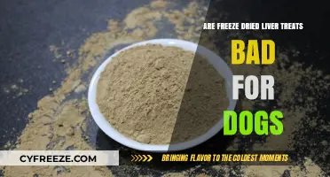 The Truth About Freeze-Dried Liver Treats for Dogs: Are They Safe?