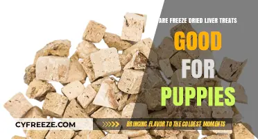 Nutritious Freeze-Dried Liver Treats: A Healthy Choice for Puppies?