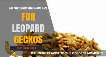 Crunchy Delights: Freeze-Dried Mealworms for Leopard Geckos?
