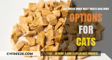 Exploring the Health Benefits of Freeze-Dried Meat Treats for Cats