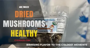 Exploring the Health Benefits of Freeze-Dried Mushrooms