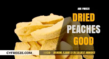 Exploring the Delicious World of Freeze-Dried Peaches: A Tasty Guide