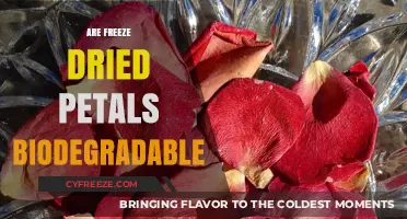 Eco-Friendly Elegance: The Biodegradability of Freeze-Dried Petals