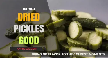 Exploring the Tangy World of Freeze-Dried Pickles: A Snack Worth Trying?