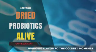 Reviving Wellness: The Lively Truth About Freeze-Dried Probiotics
