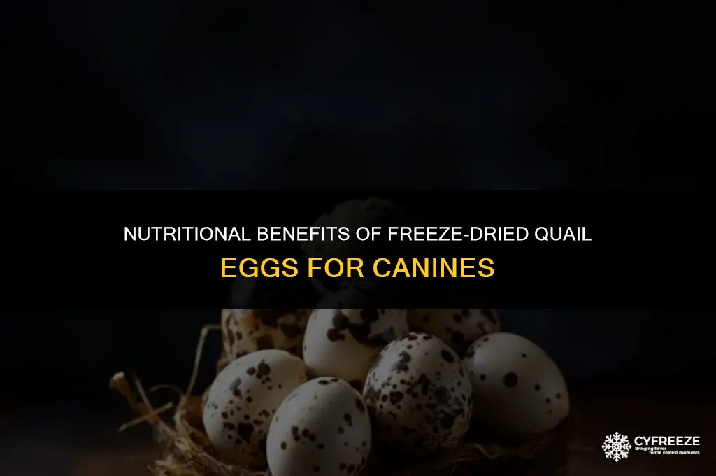 are freeze dried quail eggs good for dogs