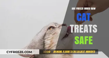 Exploring the Safety of Freeze-Dried Raw Cat Treats
