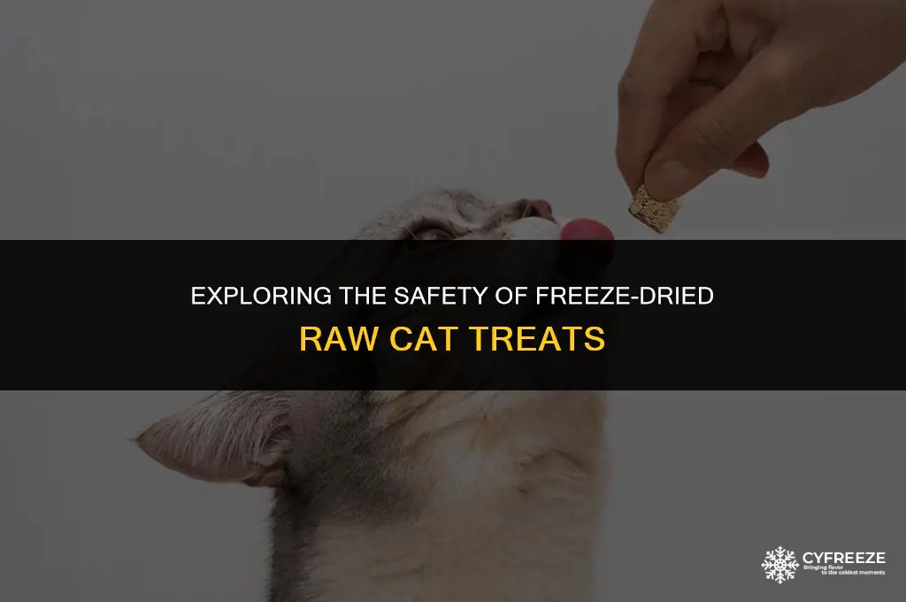 are freeze dried raw cat treats safe