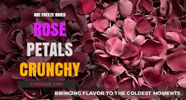 Exploring the Texture of Freeze-Dried Rose Petals: Are They Crunchy?