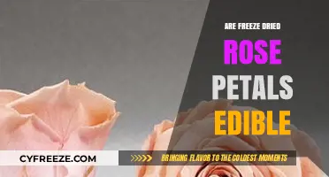 Exploring the Edibility of Freeze-Dried Rose Petals: A Floral Feast?
