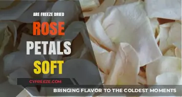 Exploring the Delicate Texture of Freeze-Dried Rose Petals