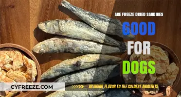 Nutritional Benefits of Freeze-Dried Sardines for Dogs: A Comprehensive Guide