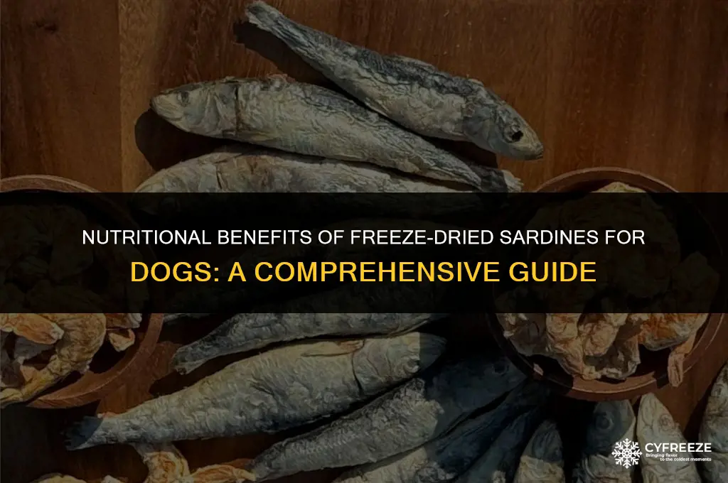 are freeze dried sardines good for dogs